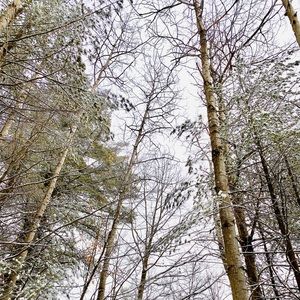 Meet your Posher, Lily